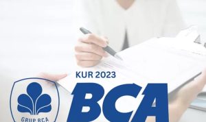 Pinjam Rp500 Jt! Berikut Syarat Pengajuan KUR BCA 2023