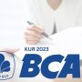 Pinjam Rp500 Jt! Berikut Syarat Pengajuan KUR BCA 2023