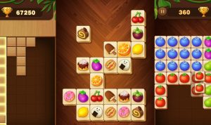 Game Offline Wood Block Puzzle