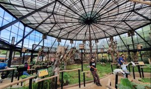 Harga Tiket Lembang Park and Zoo Saat Libur Lebaran 2023 Harga Tiket Lembang Park and Zoo Saat Libur Lebaran 2023 (Sumber gambar: Taurus Leo on Google Maps)
