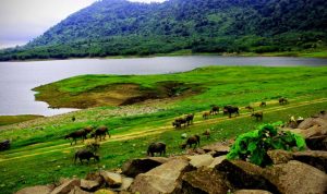 Rekomendasi Pantai di Garut Selain Santolo dan Ranca Buaya Rekomendasi Pantai di Garut Selain Santolo dan Ranca Buaya (sumber gambar: visitgarut.garutkab.go.id)