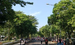 Memasuki Musim Kemarau, Ruang Terbuka Hijau Merata Dibutuhkan di Kota Bandung Parkiran Taman Gasibu Bandung