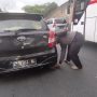 Bantuan Ganjal Ban jadi Fenoma Tahunan di Tanjakan Nagreg Garut
