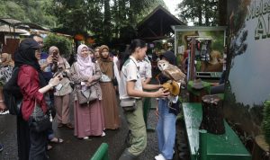 44 Ribu Wisatawan Kunjungi Taman Safari Bogor / Sandika Fadilah jabar Ekspres