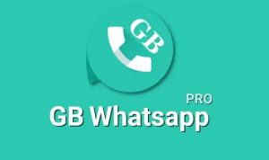 Download WA GB Apk Pro v19.20 Terbaru Gratis, Makin Banyak Fitur Menarik