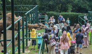 Kebun Binatang Bandung Masih jadi Pilihan Tempat Wisata Lebaran 2023