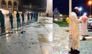 Viral ! Fenomena Ribuan Jangkrik Penuhi Kawasan Masjidil Haram Viral ! Fenomena Ribuan Jangkrik Penuhi Kawasan Masjidil Haram