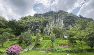 Enjoy the Natural Beauty of Cirebon's Batu Lawang Park Enjoy the Natural Beauty of Cirebon's Batu Lawang Park