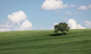 Berawan, Info Cuaca Bandung Hari ini, Rabu, 5 April 2023