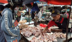 harga daging ayam
