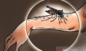 Ilustrasi, Aktivitas penambangan bijih timah rakyat marak sebagai pemicu kasus malaria 2022 mencapai 123 orang atau meningkat dibandingkan tahun sebelumnya 104 kasus. (Antara)