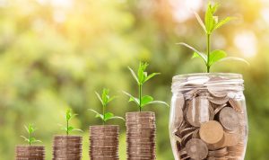Ilustrasi Investasi Bagi Pemula/Pixabay/Nattanan23