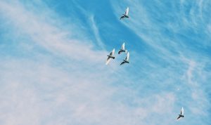 Informasi Cuaca Bandung Hari ini, Kamis, 6 April 2023