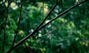 Prakiraan Cuaca Bandung Hari Ini, Minggu, 23 April 2023