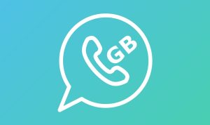 Cara Menggunakan 2 Akun GB WhatsApp Prima di 1 HP