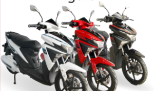 Motor Listrik Selis Agats