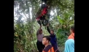 Tangkapan %layar vdeo motor tersangkut di pohon yang viral d medsos.