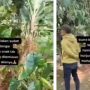 Tangkapan layar video di Instagram tentang Bocah Hilang di Subang diduga diculik mahluk halus.
