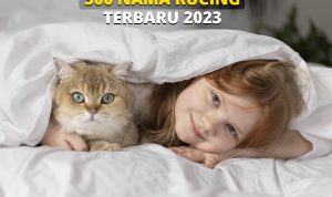 300 Nama Kucing Lucu, Bagus, dan Elegan Terbaru 2023