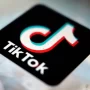 TikTok Kembangkan Chatbot AI "Tako" Saat ini dalam Tahap Uji Coba