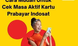 Cara Mudah Untuk Cek Masa Aktif Kartu Prabayar Indosat