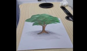 Cara Menggambar Pohon 2D dan 3D dengan Pensil Warna