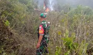 Peristiwa helikopter jatuh di kawasan kebun teh Ciwidey, Rancabali, Kabupaten Bandung, Jawa Barat ternyata milik TNI Angkatan Darat.