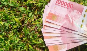 pinjol legal cepat cair
