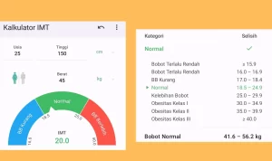 Kalkulator IMT Cek Berat Badan Ideal/ Tangkap Layar Aplikasi Kalkulator IMT