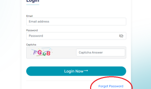 Lupa Password Akun Pendaftaran BUMN 2023? Lakukan Hal Ini Lupa Password Login Akun BUMN 2023/ Tangkap Layar Laman FHCI BUMN