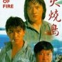 Jadwal TV Indosiar Hari Ini, Selasa 2 Mei 2023 Film Asia: Island Of Fire