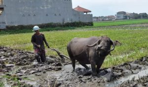 Pertumbuhan Ekonomi Triwulan I Jabar Kalah dengan Nasional