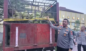 Polresta Bogor Bongkar Praktik Pengoplos Gas Subsidi, Ribuan Tabung Gas Diamankan Polresta Bogor Bongkar Praktik Pengoplos Gas Subsidi, Ribuan Tabung Gas Diamankan