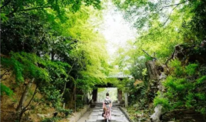 Prinsip hidup orang Jepang
