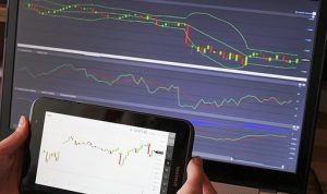 Ilustrasi. Reksadana Bibit merupakan salah satu produk investasi yang direkomendasikan bagi investor pemula, benarkah terbukti cuan? Pixabay/ PIX1861.