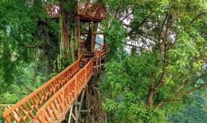 Rekomendasi Wisata Bogor, Ini Destinasi yang Wajib Dikunjungi!