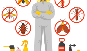 Cara Membasmi Kecoa: Tips Ampuh untuk Mengusir Kecoa!