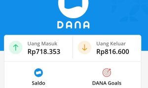 saldo dana