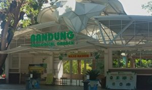 Sebanyak 41 orang menjadi korban tertipu dengan modus lowongan kerja di Bandung Zoo atau Kebun Binatang Bandung.
