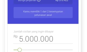 Cara Mudah Dapat Modal Usaha Rp200 Juta Lewat Jenius Flexi Cash, Begini Caranya