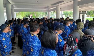 Besaran Gaji Ke-13 PNS/Foto: Instagram (@setda_baritoselatan)