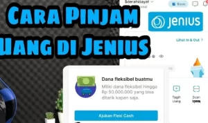 pinjam uang di jenius