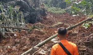Ilustrasi : Bencana longsor di Kecamatan Tanjungsari, Kabupaten Bogor. Foto : Dok BPBD