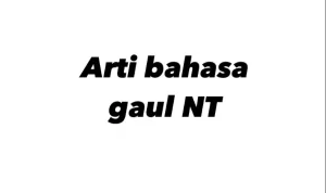 Apa Arti NT? Istilah Bahasa Gaul, Ini Maksudnya!