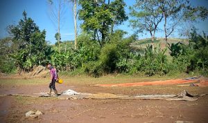 Pengusaha Kopi Kena Dampak Banjir Bandang di KBB, Kerugian Ditaksir Ratusan Juta Rupiah Dok. Para pegawai tengah menyortir kopi yang terendam banjir. Senin (15/5). Foto Jabarekspres