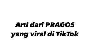 Pragos Adalah? Istilah Bahasa Gaul TikTok Viral, Ini Artinya! Pragos Adalah? Istilah Bahasa Gaul TikTok Viral, Ini Artinya!