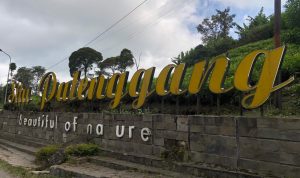 Situ Patenggang