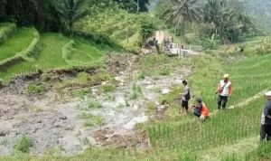 BPBD Urges Residents to be Aware of Soil Liquefaction Disaster