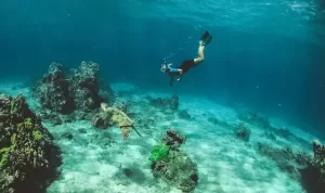 Menikmati Pesona Wisata di Manado, Destinasi Impian!