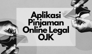 Jenis-Jenis Pinjol Rp 20 Juta Legal OJK, Ini Pembahasannya! Jenis-Jenis Pinjol Rp 20 Juta Legal OJK, Ini Pembahasannya!